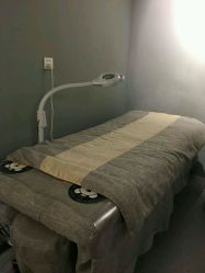 -三只熊皮肤管理中心