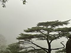 -萍乡武功山风景名胜区