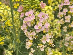 -中国天府农业博览园