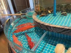 -百富源·海鲜辽菜(张士店)