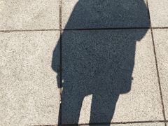 -旅顺博物馆