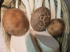-非遗•老字号•阿彬牛肉火锅(广济桥店)