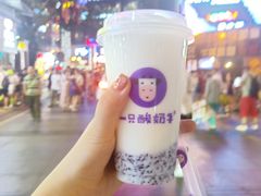 -一只酸奶牛(八一路店)