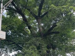 -西昌邛海湿地-月亮湾景区