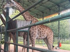 -秦皇岛野生动物园