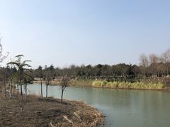 -南湖湿地公园