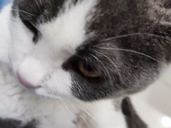 -佳雯宠物医院·皮肤科·内外科(春晓路分院)