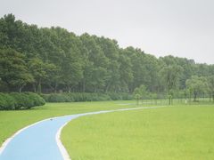 -宜兴龙背山森林公园