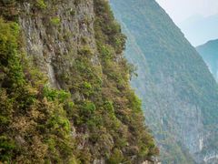 -万县面馆(高笋塘店)