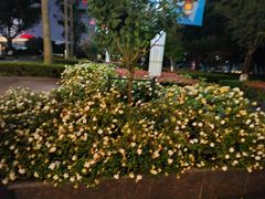 -隆荟•台州菜•粤菜