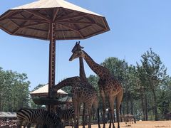 -大连森林动物园