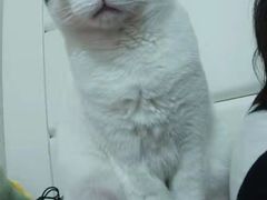 -PETKIT 小佩宠物·低压洗护·美容·寄养(安远店)