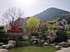 -华清宫景区