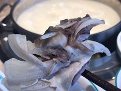 鱼头-淘米捞·米汤脆鲩鱼火锅(福田皇岗店)