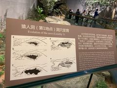 -北京周口店北京人遗址博物馆