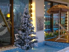 -天空花园餐吧·生日·团建(南山店)