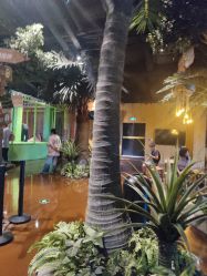 -奇幻丛林(佛罗伦萨小镇店)