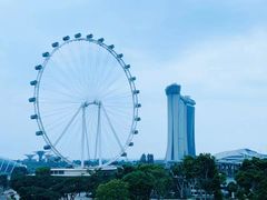 -新加坡摩天观景轮