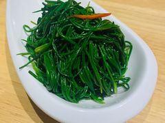 拌沙葱-蒙料·手把肉(望京店)