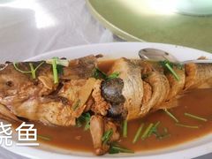 海菜饼-天城园金酒店