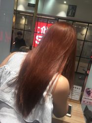 -东方麒麟·潘多拉SALON