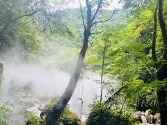 -西岭雪山大飞水景区