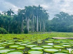 -中国科学院西双版纳热带植物园
