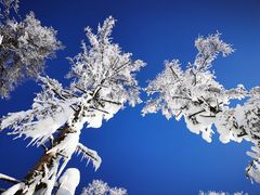 -雪谷