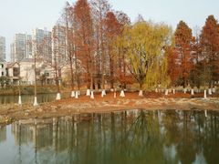 -白塘生态植物园