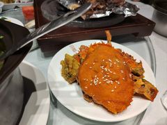-沪碟·精菜坊(闵行店)