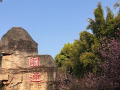 -昆明动物园