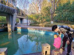 -苏州河梦清园环保主题公园