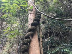 -永泰中国云顶
