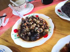 -南汇老顾农家乐采摘大团水蜜桃采摘店