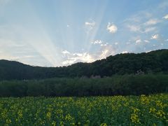 -苏州上方山国家森林公园