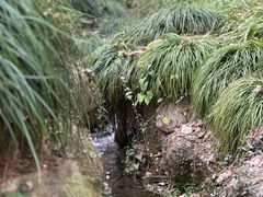 -杭州植物园