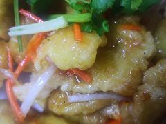 -邵年鸽(杨庄店)