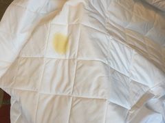 -明月东一酒店·菲斯特自助餐厅