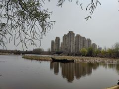 -前关湿地公园