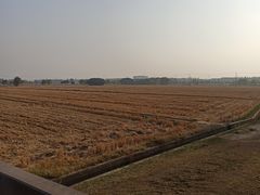 -嘉北郊野公园