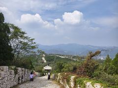 -原山国家森林公园