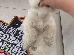 -瑞鹏宠物医院·眼科·皮肤·中兽医(大悦城分院)