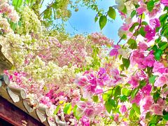 -深圳国际园林花卉博览园