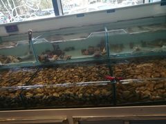 -鸣记脆皮烤鱼·海鲜烤鱼(三八广场店)
