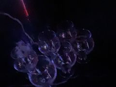 -温莎KTV(珠江路店)
