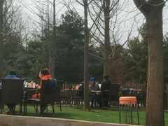 -尚庄度假村·庭台树下·户外烧烤·团建CS·轰趴营地(上庄水库店)