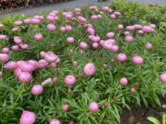 -福田红树林生态公园