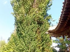 -张掖大佛寺景区