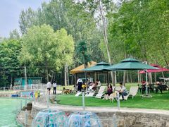 -宠乐会宠物乐园