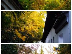 -西园戒幢律寺